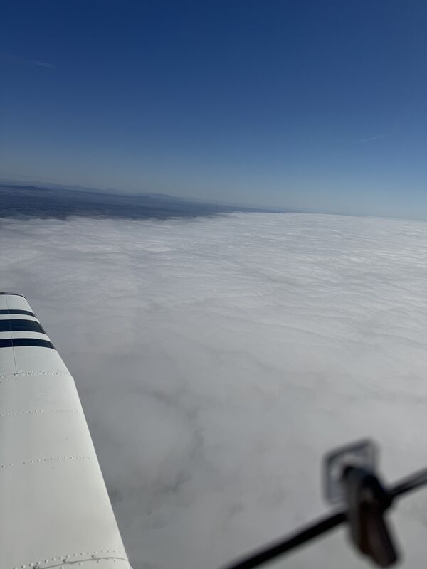 The wing above a solid layer of cloud with blue sky overhead